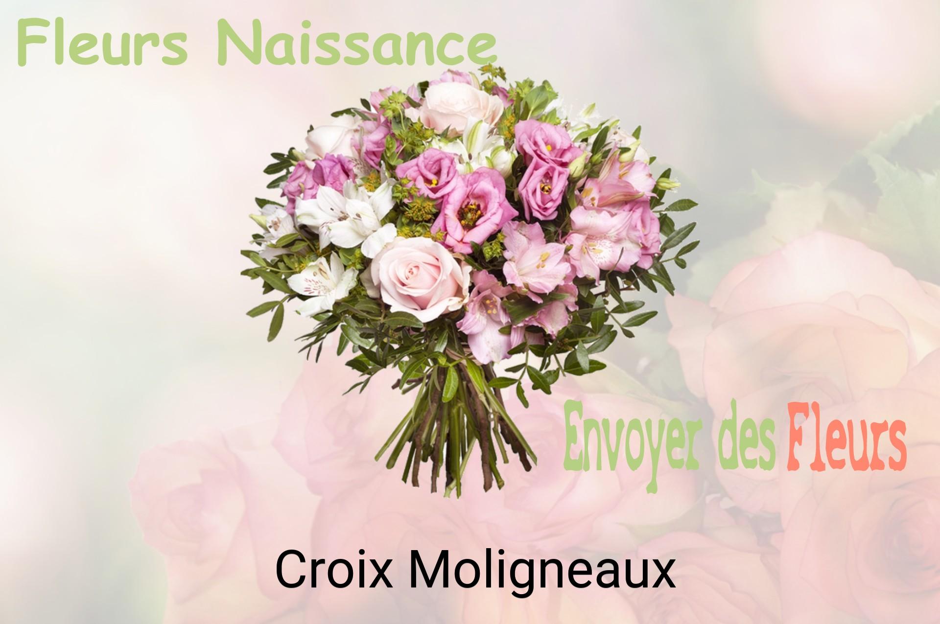Bouquet de fleurs de naissance livré à Croix-Moligneaux