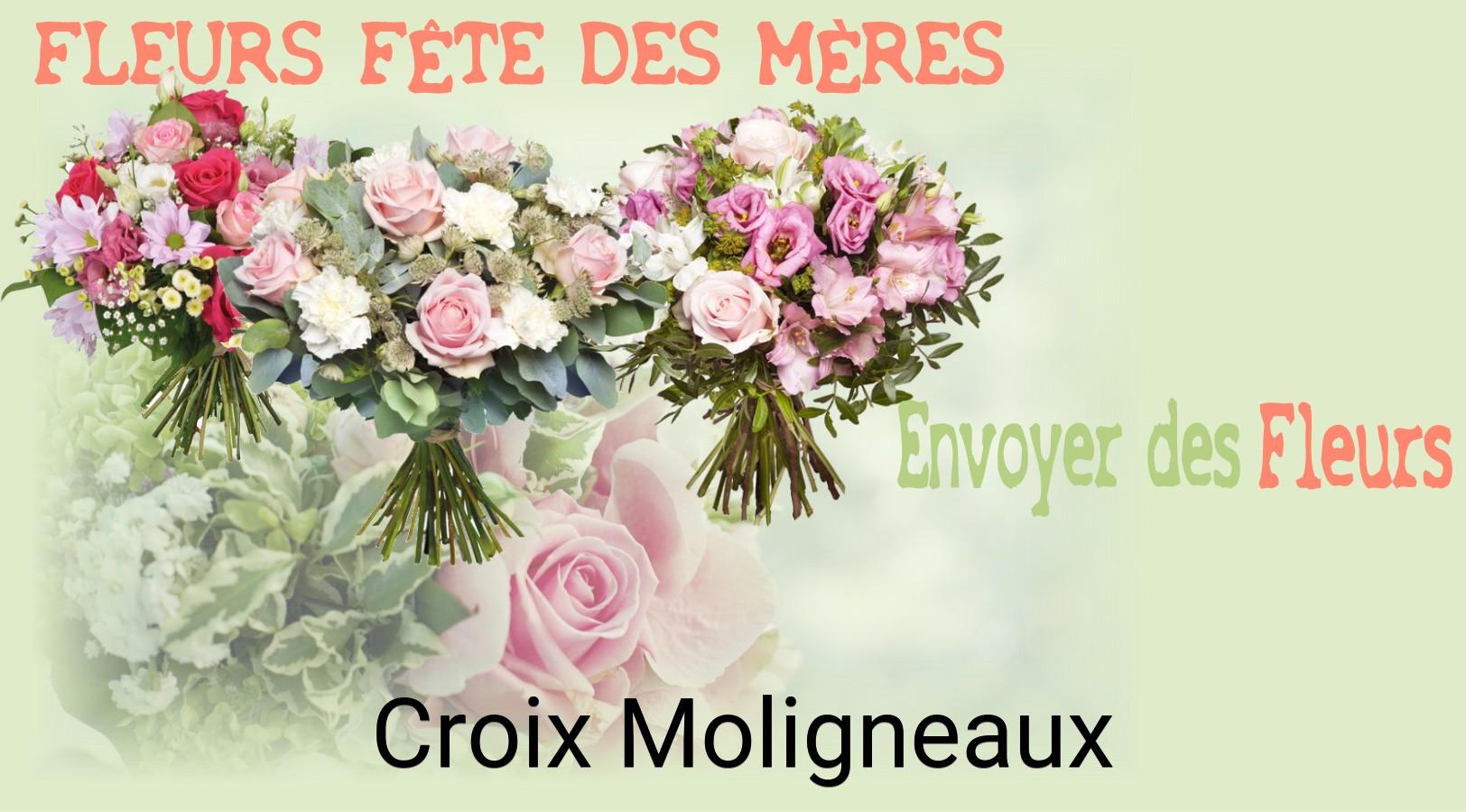 Bouquet de Fête des Mères livré à Croix-Moligneaux